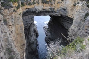 Tasmania: tour di 7 giorni da ovest a est