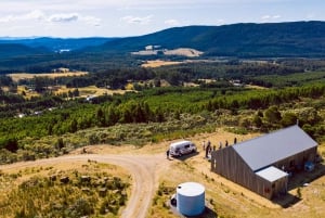 Tasmanie: excursion d'une journée au gin avec déjeuner
