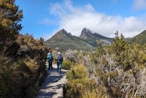 Tasmanien: (Neue Tour) 6-tägige Entdeckungstour (Komfort-Tour)