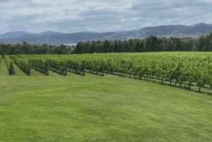 Tasmania: Prywatna wycieczka po destylarni Distillers Reserve