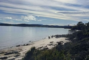 Tasmania: Private Luxury Tour with Custom Itinerary