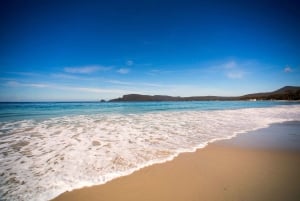 Tasmania: Private Luxury Tour with Custom Itinerary