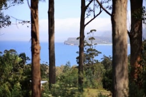 Tasmanien｜Tasman Peninsula Heldagsutflykter från Hobart