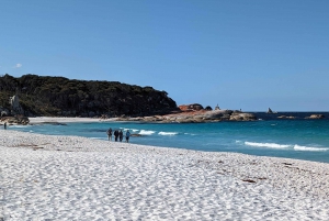 Tasmanie - L'ultime circuit de 10 jours