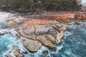 Tasmanie - L'ultime circuit de 10 jours