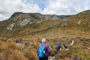 Tasmanië - De ultieme 10-daagse rondreis