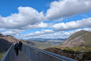 Tasmania - El viaje definitivo de 10 días