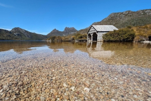 Tasmania - Il tour definitivo di 10 giorni