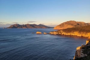 Tasmania - Den ultimate 10-dagers turen