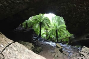 Tasmanië - De ultieme 10-daagse rondreis