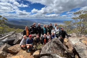Tasmania: tour guidato di 6 giorni nella natura e nella fauna selvatica