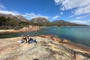 Tasmania: tour guidato di 6 giorni nella natura e nella fauna selvatica