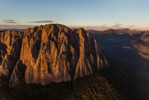 Tasmanian Wilderness World Heritage Area: Day Tour