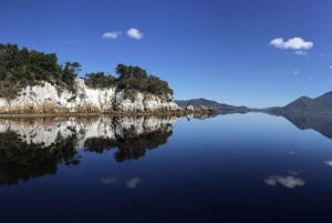 Tasmanian Wilderness World Heritage Area: Day Tour