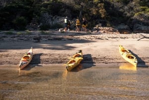 The Freycinet Paddle Kayak Tour