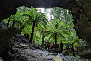 Tasmania - perimmäinen 10 päivän kiertomatka