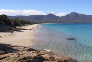 Tasmania - Den ultimate 10-dagers turen