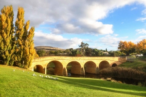 Tasmania - El viaje definitivo de 10 días