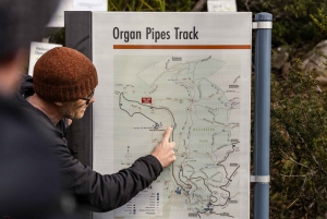 From Hobart: Mount Wellington Organ Pipes Trail Guided Hike
