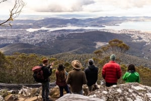 From Hobart: Mount Wellington Organ Pipes Trail Guided Hike