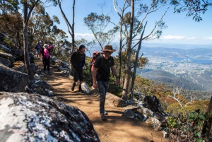 From Hobart: Mount Wellington Organ Pipes Trail Guided Hike