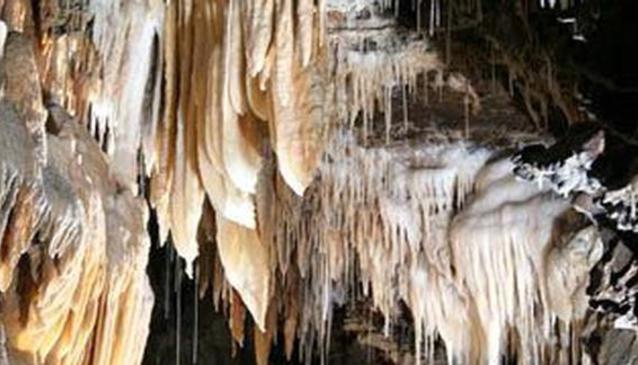 Wild Caves Tours