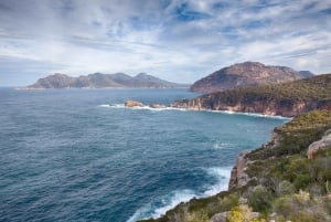 Hobart: Dagstur til Wineglass Bay og Freycinet nasjonalpark