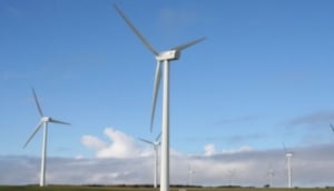 Woolnorth Tours