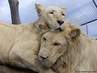 Hobart and South East