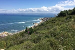 Старый город Акко: частная поездка из Тель-Авива