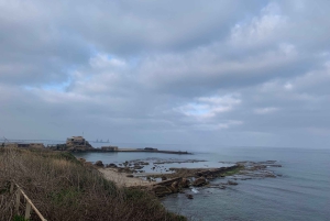 カイサリア、ハイファ、アッコ、ロシュ・ハニクラを巡る終日プライベートツアー