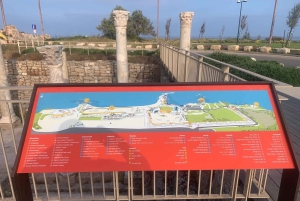 カイサリア、ハイファ、アッコ、ロシュ・ハニクラを巡る終日プライベートツアー