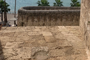 カイサリア、ハイファ、アッコ、ロシュ・ハニクラを巡る終日プライベートツアー