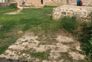 カイサリア、ハイファ、アッコ、ロシュ・ハニクラを巡る終日プライベートツアー