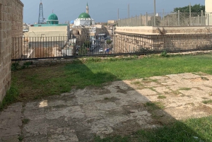 カイサリア、ハイファ、アッコ、ロシュ・ハニクラを巡る終日プライベートツアー