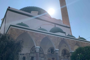 カイサリア、ハイファ、アッコ、ロシュ・ハニクラを巡る終日プライベートツアー