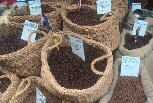 カイサリア、ハイファ、アッコ、ロシュ・ハニクラを巡る終日プライベートツアー