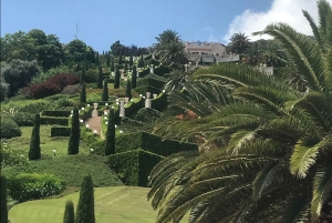 カイサリア、ハイファ、アッコ、ロシュ・ハニクラを巡る終日プライベートツアー