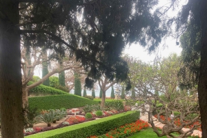 カイサリア、ハイファ、アッコ、ロシュ・ハニクラを巡る終日プライベートツアー