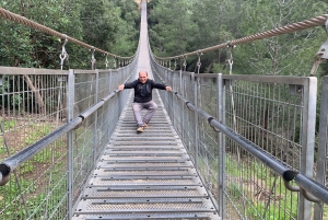 カイサリア、ハイファ、アッコ、ロシュ・ハニクラを巡る終日プライベートツアー