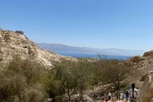 Ein Gedi Nature Reserve and the Dead Sea in Russian