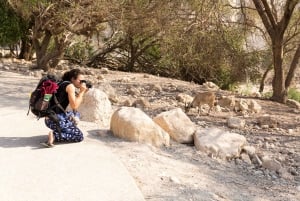 Fra Jerusalem: Masada ved solopgang, Ein Gedi & Dødehavet Tour