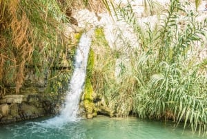 Jerusalemista: Masada, Ein Gedi ja Kuollutmeri -päiväretki.