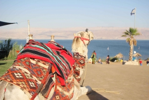 Au départ de Jérusalem : Visite de Masada, Ein Gedi et la Mer Morte