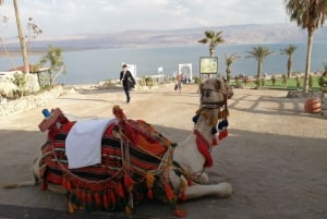 From Jerusalem/Tel Aviv: Bethlehem and Dead Sea Day Tour