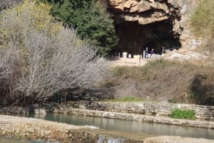 From Tel Aviv: Banias & Golan Heights Private Guided Tour