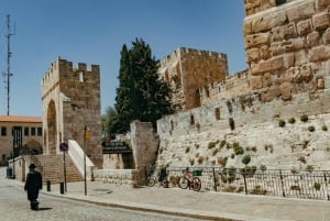 Desde Tel Aviv: Ciudad de David y Jerusalén subterráneo