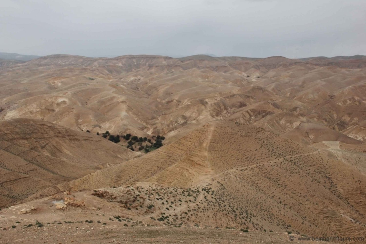 Z Tel Awiwu: wizyta nad Morzem Martwym i pustynne safari