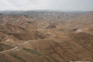 Z Tel Awiwu: wizyta nad Morzem Martwym i pustynne safari