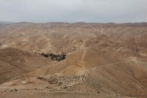 Z Tel Awiwu: wizyta nad Morzem Martwym i pustynne safari